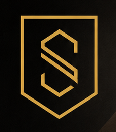 Dallas Stone logo
